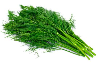 Beyaz arka plan üzerinde izole sulu taze dereotu