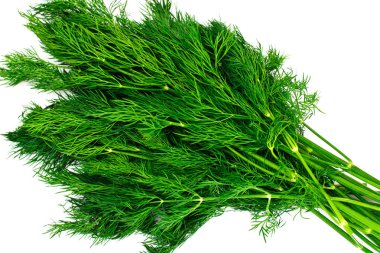 Beyaz arka plan üzerinde izole sulu taze dereotu