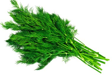 Beyaz arka plan üzerinde izole sulu taze dereotu