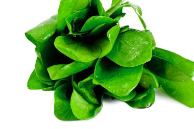 İzole üzerinde beyaz arka plan sulu taze ıspanak yaprakları