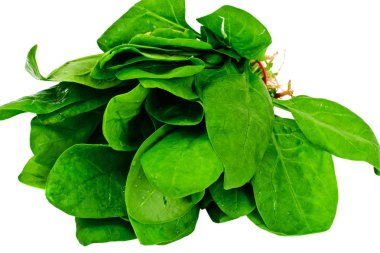 İzole üzerinde beyaz arka plan sulu taze ıspanak yaprakları