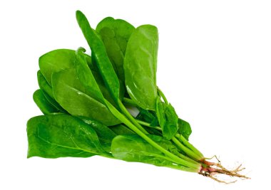 İzole üzerinde beyaz arka plan sulu taze ıspanak yaprakları