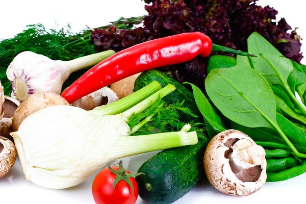 Gemüse Tomate, Paprika, Champignons, Gurken, Radic, Fenchel und — Stockfoto