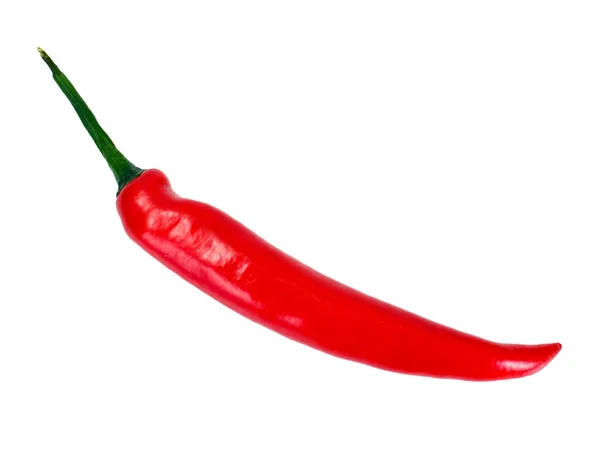 Red peperoncino caldo isolato su sfondo bianco — Foto Stock