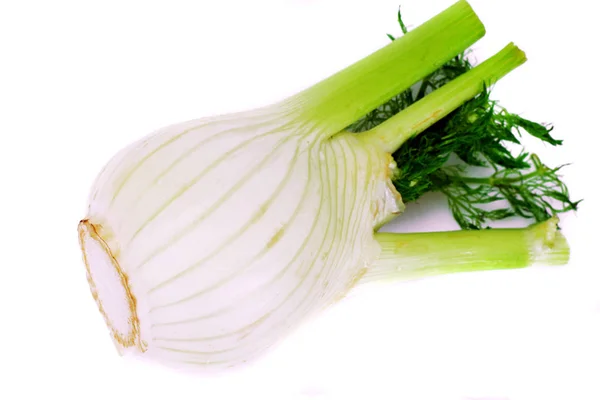 Fennel Juicy Segar — Stok Foto