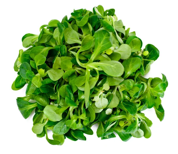 Fresh Juicy Green Corn Salad Isolated on White Background — Stock Photo, Image
