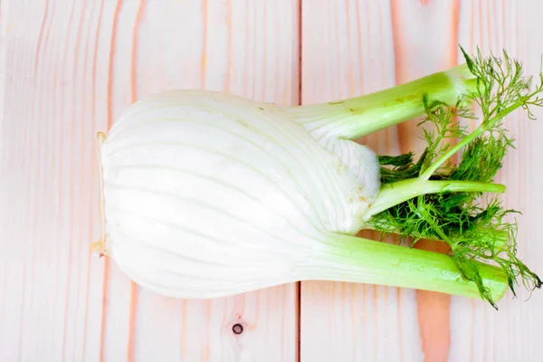 Fennel Juicy Segar — Stok Foto