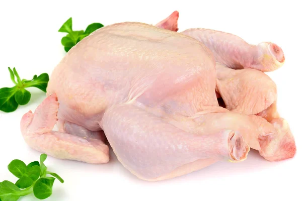 La carcasse fendue de poulet cru. Isolé sur Blanc . — Photo