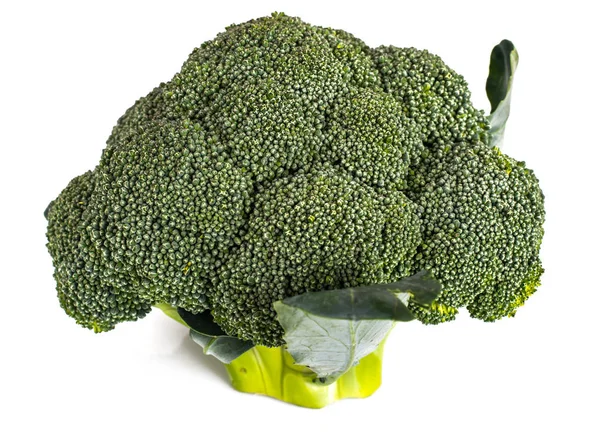 Kleine hoofd van broccoli op een witte achtergrond — Stockfoto