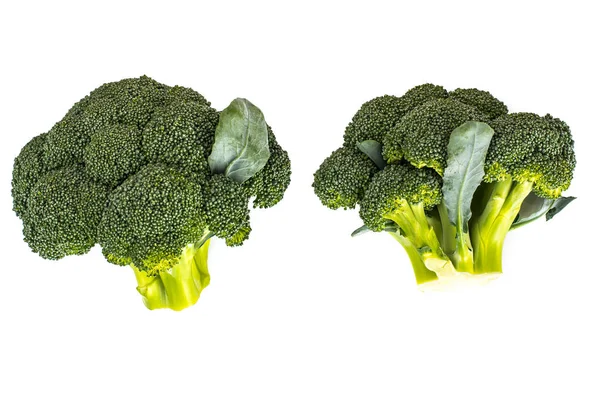 Kleine hoofd van broccoli op een witte achtergrond — Stockfoto