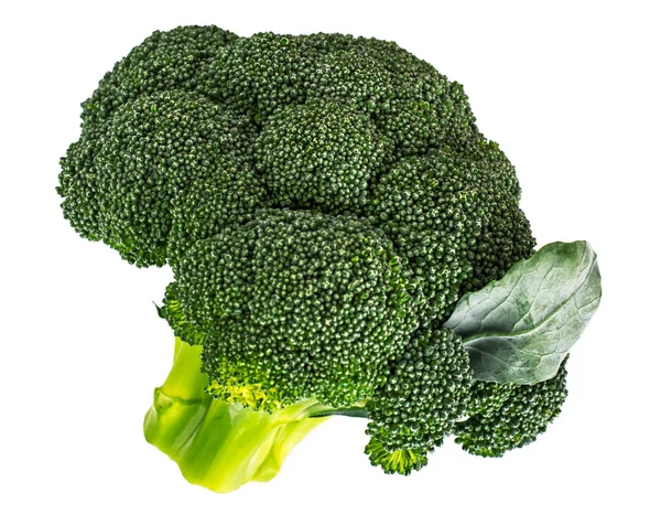 Kleine hoofd van broccoli op een witte achtergrond — Stockfoto