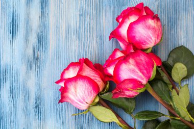 Mavi arkaplanda çiçekler