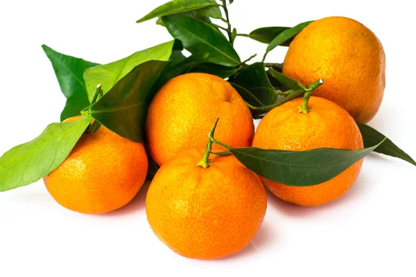 Mandarinen auf den Zweigen auf weißem Hintergrund — Stockfoto