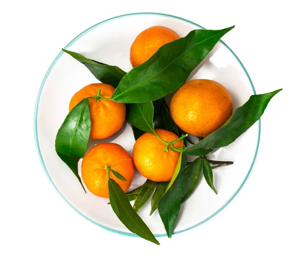 Mandarinen auf den Zweigen auf weißem Hintergrund — Stockfoto