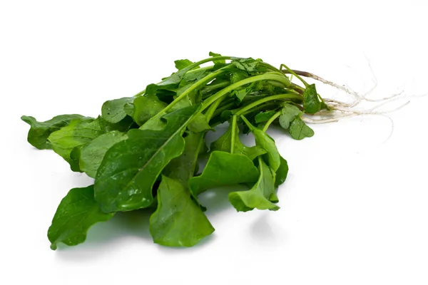 Fresh Green Arugula — Stock Photo, Image