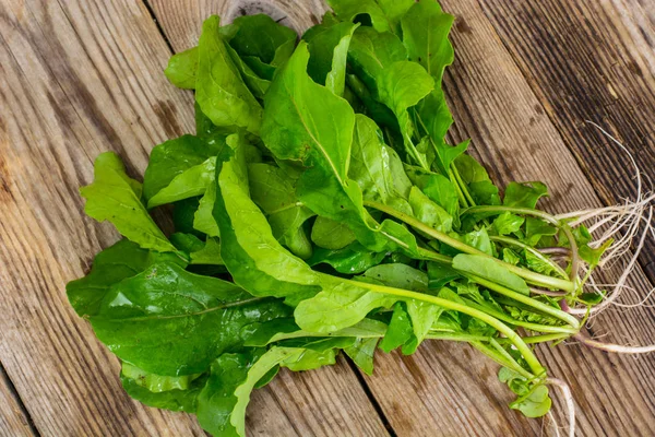 Fresh Green Arugula — Stock Photo, Image