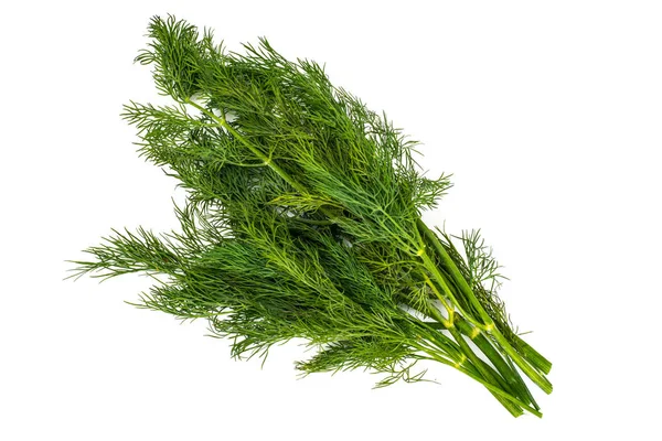 Frischer saftiger Dill isoliert auf weißem Hintergrund — Stockfoto