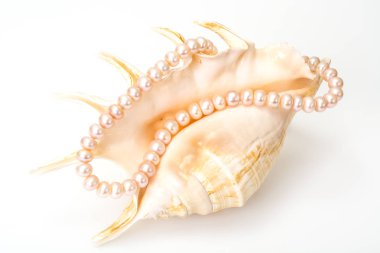 Pembe inci mücevher.