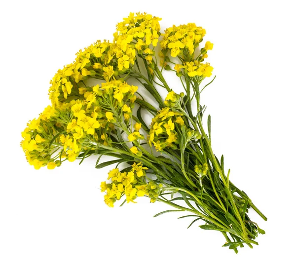 Ramo con flores amarillas — Foto de Stock