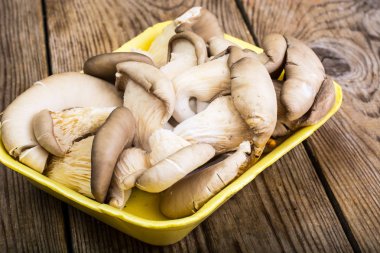 Avuç taze istiridye mantar