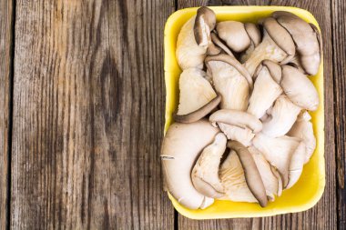 Avuç taze istiridye mantar