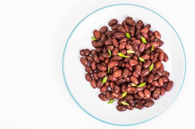 Yeşil soğan ve baharatlı acılı fasulye.