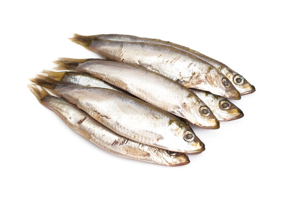 Marinated anchovies isolate on a white background