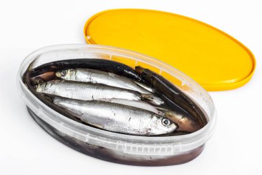 Plastik kavanoz içinde salamura hamsi