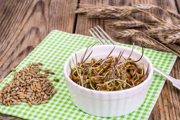 stock image Wholesome food-grains germinated