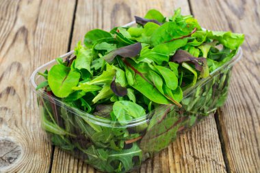 Sağlıklı beslenme roka, mitsuna, pazı, plasti kırmızı hardal