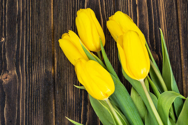 Yellow tulips on a wooden background