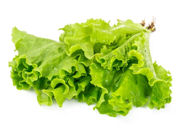 Bund frischer grüner Salat. — Stockfoto