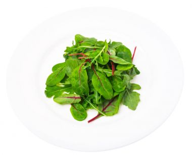 Pazı ve plaka üzerinde ruccola salata