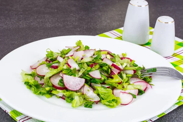 Salade végétarienne au radis frais, roquette, épinards — Photo