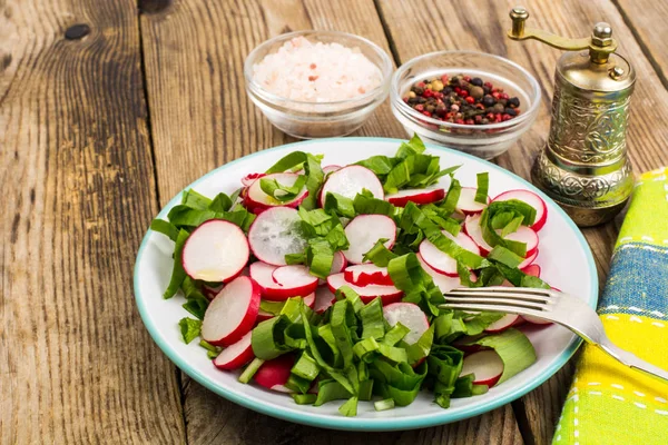 Salade végétarienne au radis frais et aux épinards — Photo