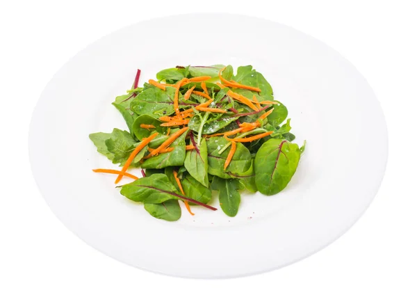 Salade végétarienne de carottes, blettes et roquette — Photo