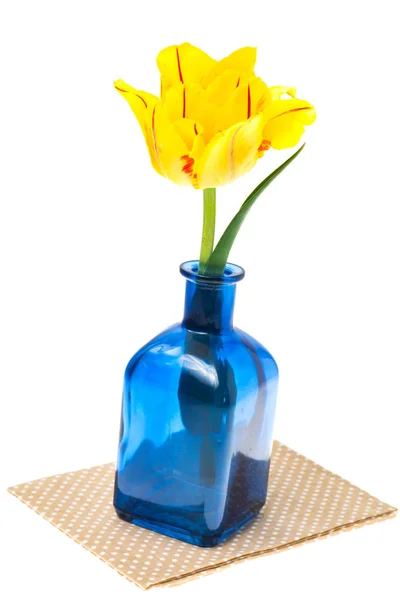 Один желтый тюльпан в вазе — стоковое фото
