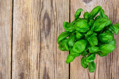 Eski ahşap masa genç yeşil fesleğen