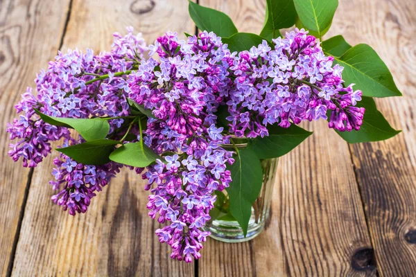Lilac branch in the glass — Stock Photo, Image