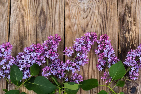 Lilac branch on old gray boards — Stock Photo, Image