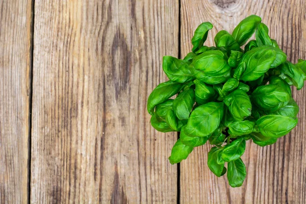 Eski ahşap masa genç yeşil fesleğen