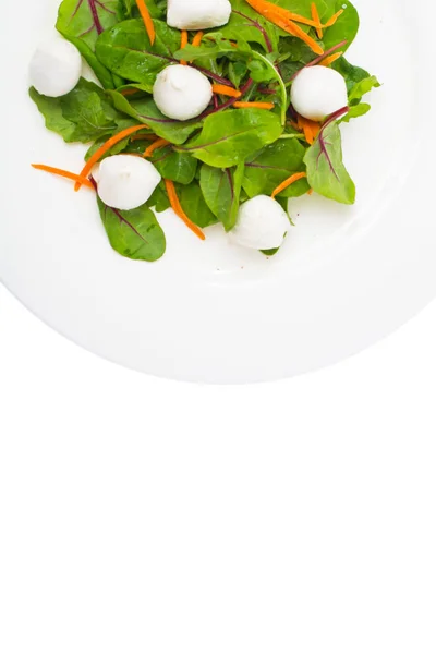 Insalata alimentare con erbe fresche con mozzarella — Foto Stock