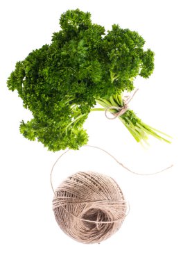 Beyaz arka planda bir demet taze yeşil maydanoz