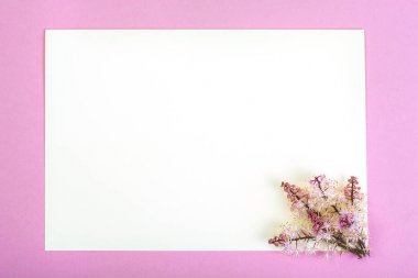 Yaratıcı düzen çiçek renkli kağıt arka plan üzerinde yapılan