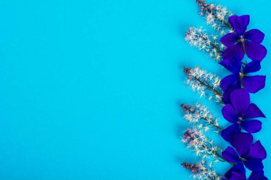 Yaratıcı düzen çiçek renkli kağıt arka plan üzerinde yapılan