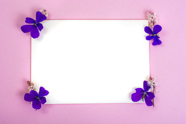 Creative layout made from flowers on background of colored paper