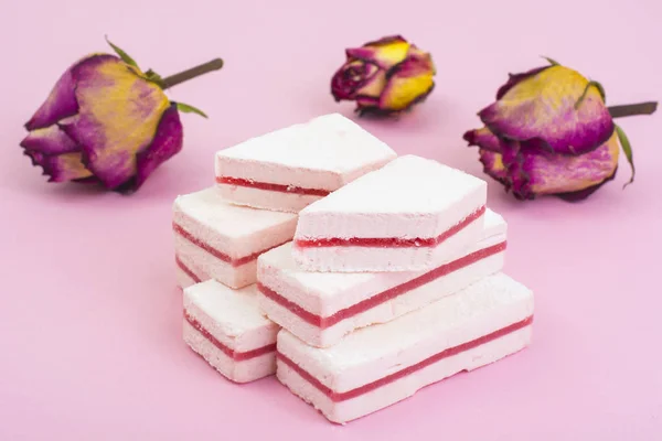 Vit marshmallow med tranbär lager på pastell bakgrund. — Stockfoto