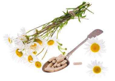 Tıbbi bitki papatya eczane kapsül