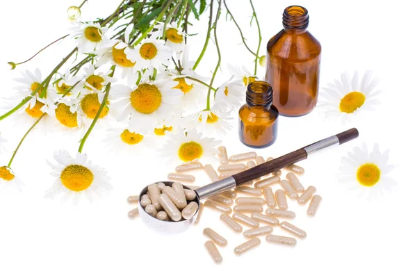 Medicinal plant Camomile pharmacy in capsules — Stock Photo, Image