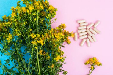 Doğal St Johns wort tıbbi gelen tıbbi kapsül